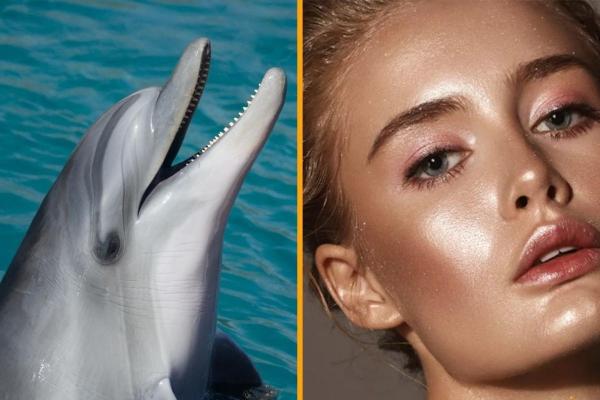 Как получить учебник по макияжу кожи дельфина - Какова тенденция макияжа кожи дельфина?